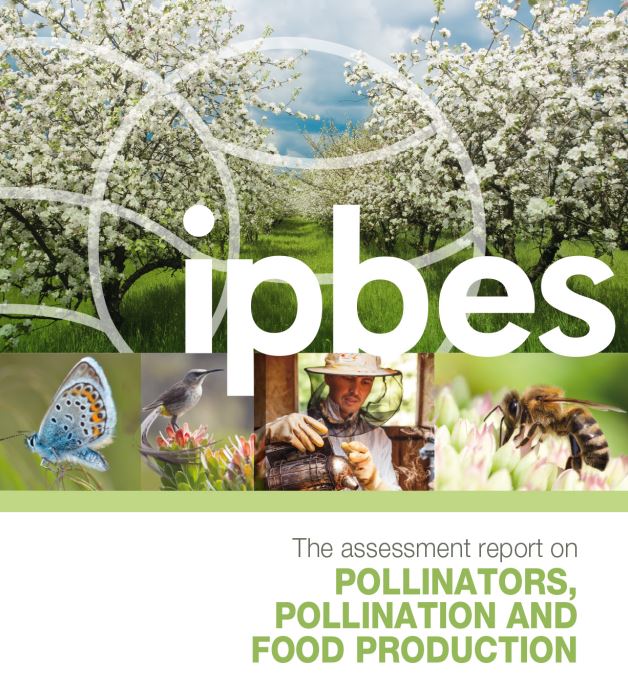  IPBES assessment report on pollinators, pollination and food production