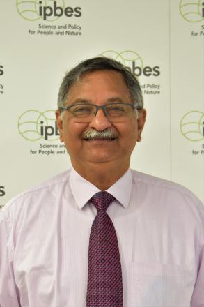 Dr. Vinod Bihari Mathur